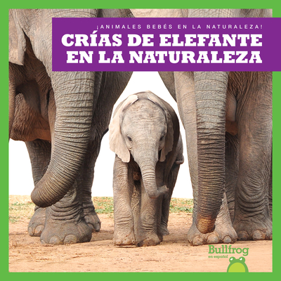 Crías de Elefante En La Naturaleza (Elephant Calves in the Wild) - Marie Brandle