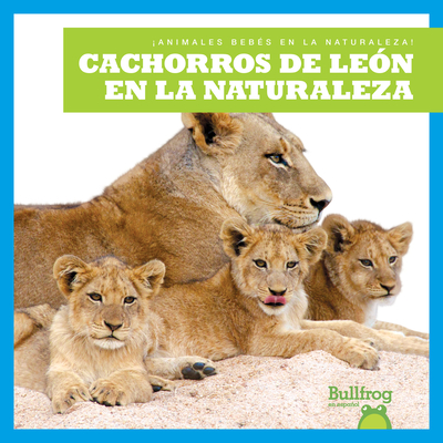 Cachorros de León En La Naturaleza (Lion Cubs in the Wild) - Marie Brandle