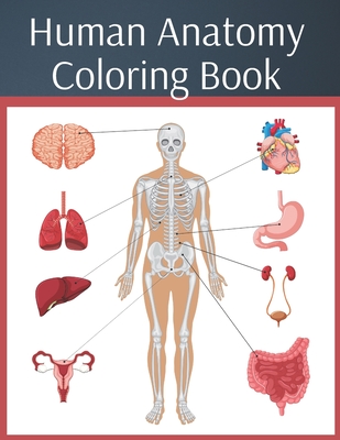 Human Anatomy Coloring Book: colouring workbook medical physiology study guide - Natalia Walas