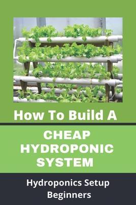 How To Build A Cheap Hydroponic System: Hydroponics Setup Beginners: Compact Hydroponics - Meg Sensmeier