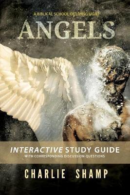 Angels Workbook: A Biblical School of Living Light - Charlie Shamp