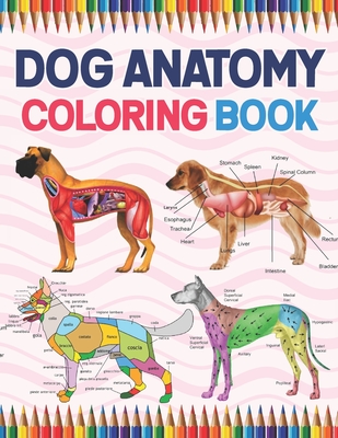 Dog Anatomy Coloring Book: Dog Anatomy Coloring Workbook for Kids, Boys, Girls & Adults. The New Surprising Magnificent Learning Structure For Ve - Jarniaczell Publication