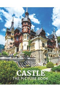 Coperta cărții 'Castle: The Picture Book of Amazing Castle for Dementia, Seniors, Alzheimer's and Parkinson's. - Katy Publisher'