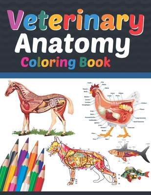Veterinary Anatomy Coloring Book: Veterinary Anatomy Coloring Book For Medical, High School Students. Anatomy Coloring Book for kids. Veterinary Anato - Sreijeylone Publication