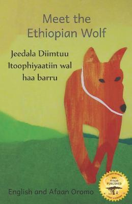 Meet the Ethiopian Wolf: Africa's Most Endangered Carnivore in Afaan Oromo and English - Jane Kurtz