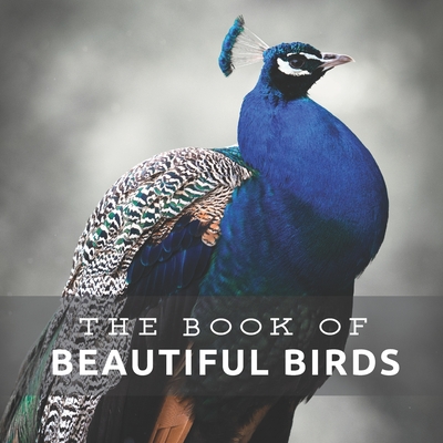 Beautiful Birds: Picture Book For Seniors With Dementia (Alzheimer's) - Pretty Pine Press