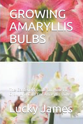 Growing Amaryllis Bulbs: The Gardeners Guide On How To Grow And Care For Amaryllis Bulbs - Lucky James