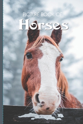 Picture Book Of Horses: Large Print Book For Seniors with Dementia or Alzheimer's - Old Church Lane Books