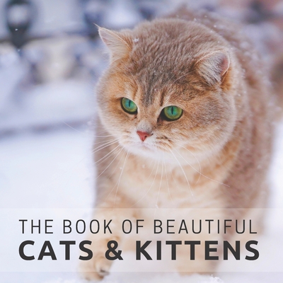 The Book of Beautiful Cats & Kittens: Picture Book For Seniors With Dementia (Alzheimer's) - Pretty Pine Press