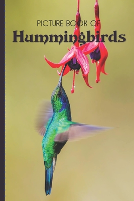 Picture Book Of Hummingbirds: Large Print Book For Seniors with Dementia or Alzheimer's - Old Church Lane Books