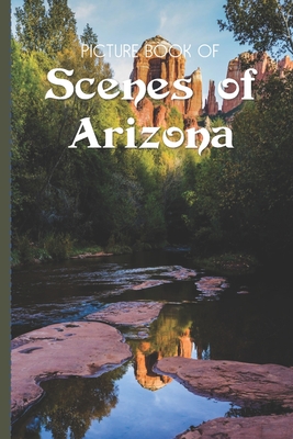 Picture Book Of Scenes Of Arizona: Large Print Book For Seniors with Dementia or Alzheimer's - Old Church Lane Books