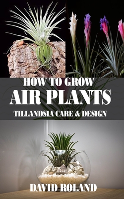 How to Grow Air Plants: Tillandsia Care and Design - David Roland