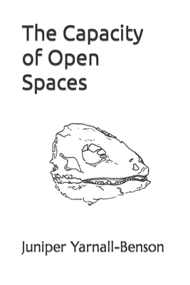 The Capacity of Open Spaces - Juniper Yarnall-benson