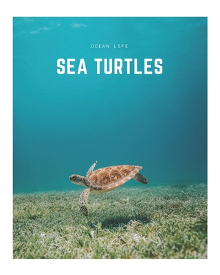 Sea Turtles: A Decorative Book │ Perfect for Stacking on Coffee Tables & Bookshelves │ Customized Interior Design & Hom - Decora Book Co