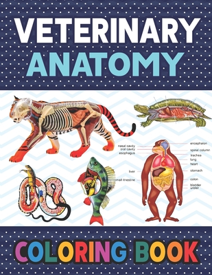 Veterinary Anatomy Coloring Book: Learn The Veterinary Anatomy With Fun & Easy. Animal Anatomy and Veterinary Physiology Coloring Book. Dog Cat Horse - Darkeylone Publication