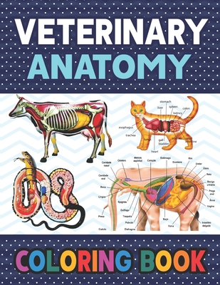 Veterinary Anatomy Coloring Book: Fun and Easy Veterinary Anatomy Coloring Book for Kids.Animal Anatomy and Veterinary Coloring Book.Dog Cat Horse Fro - Darkeylone Publication