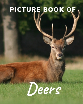 Picture Book of Deers: Fabulous Picture Book for Alzheimer's Patients and Seniors with Dementia. - Katy Publisher
