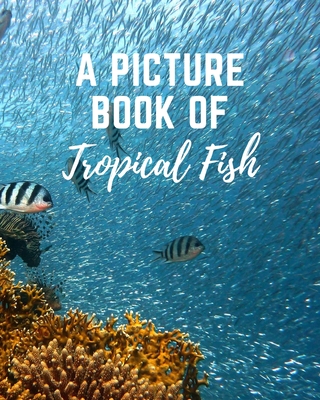 A Picture Book of Tropical Fish: Activity Books for Seniors With Dementia- Gift Book for Seniors With Alzheimer's in Large Print - Tranquility Publishing