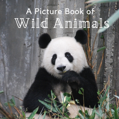 A Picture Book of Wild Animals: A Beautiful Picture Book for Seniors With Alzheimer's or Dementia. A Great Gift for Elderly Parents and Grandparents! - A Bee's Life Press