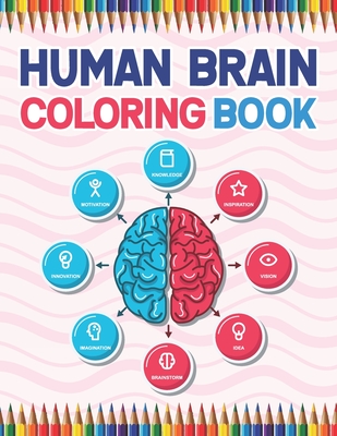 Human Brain Coloring Book: The Human Brain Coloring Book. Human Brain Model Anatomy, Human Brain Diagram, Human Brain Art, Human Brain and Human - Cambaumniel Publication