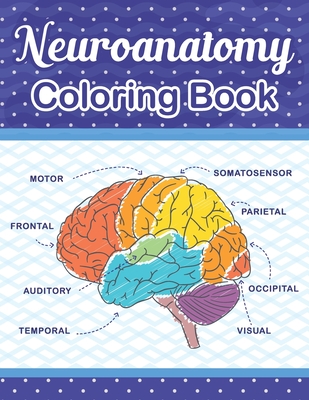 Neuroanatomy Coloring Book: The Ultimate Human Brain student's self-test Coloring book for Neuroscience. The Human Brain Anatomy Coloring Book for - Cambaumniel Publication