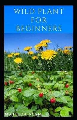 Wild Plant for Beginners: A book guide on how to ethically plant, identify, harvest, prepare, eat and preserve wild plants - Matilda Sean