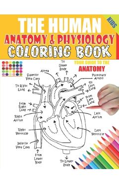 Animal and Human Anatomy Coloring Book for Kids: Ages 4-8 8-12