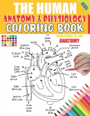 The Human Anatomy and Physiology Coloring Book: 50+ illustrations in an Activity coloring book for kids and teens, Great christmas, thanksgiving, birt - Lbrightside Anatomy &. Physiology