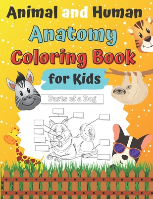 Animal and Human Anatomy Coloring Book for Kids: Ages 4-8 8-12 Veterinary Anatomy colouring Book: Animal Anatomy and Veterinary Physiology Vet Tech Hu - Golden Shapes