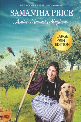 Amish Harvest Mayhem LARGE PRINT: Amish Romance - Samantha Price