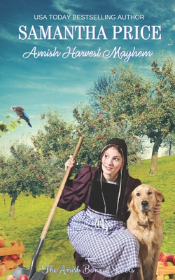 Amish Harvest Mayhem: Amish Romance - Samantha Price