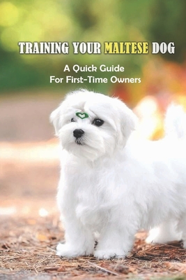 Training Your Maltese Dog: A Quick Guide For First-Time Owners: Maltese Breed Characteristic - Erin Fruusto