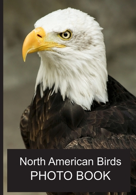 North American Birds Photo Book: 40 Different Bird Photos With Identification Names For Alzheimer & Dementia Patients To Help With Memories and Memory - Louise K. Gough
