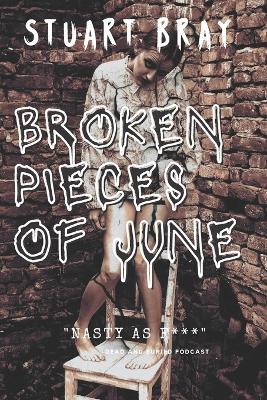 Broken pieces of June - Jason Nickey