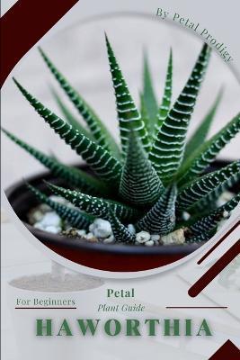 Haworthia: Prodigy Petal, Plant Guide - Petal Prodigy