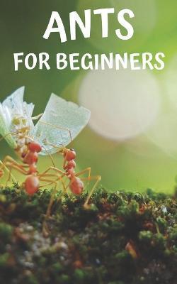 Ants for beginners: Guide to successfully keep ants in an ant farm for novices - Thorsten Hawk