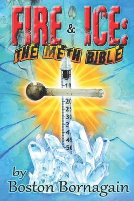 Fire and Ice: The Meth Bible - Sandra Lee