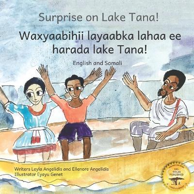 Surprise on Lake Tana: An Ethiopian Adventure in Somali and English - Ready Set Go Books