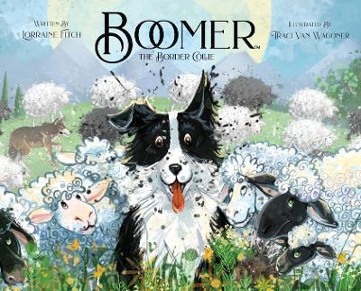 Boomer the Border Collie - Lorraine Fitch