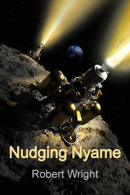 Nudging Nyame - Robert Wright