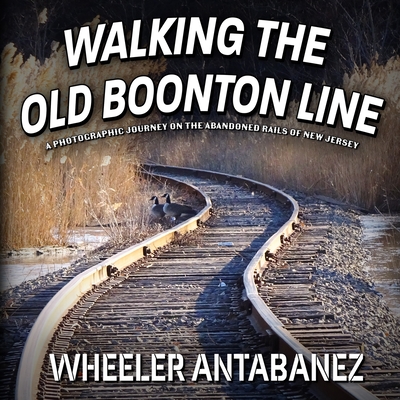 Walking the Old Boonton Line: A Photographic Journey on the Abandoned Rails of New Jersey - Wheeler Antabanez