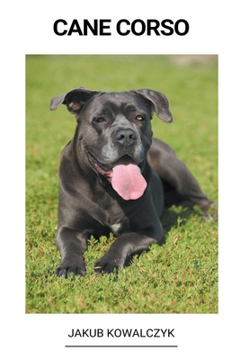 Cane Corso - Jakub Kowalczyk