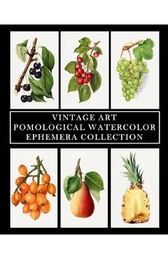 Coperta cărții 'Vintage Art: Pomological Watercolor: Ephemera Collection: Botanical Fruit Prints - Vintage Revisited Press'