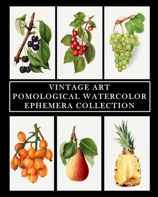 Vintage Art: Pomological Watercolor: Ephemera Collection: Botanical Fruit Prints - Vintage Revisited Press