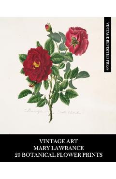 Coperta cărții 'Vintage Art: Mary Lawrance: 20 Botanical Flower Prints: Roses Ephemera for Framing, Collages, and Junk Journals -'