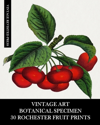 Vintage Art: Botanical Specimen: 30 Rochester Fruit Prints: Pomology Ephemera for Framing, Decor and Reference - Vintage Revisited Press