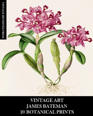 Vintage Art: James Bateman: 20 Botanical Prints: Orchid Ephemera for Framing, Home Decor, Collage and Decoupage - Vintage Revisited Press