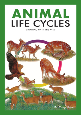 Animal Life Cycles: Discovering How Animals Live in the Wild - Tony Hare
