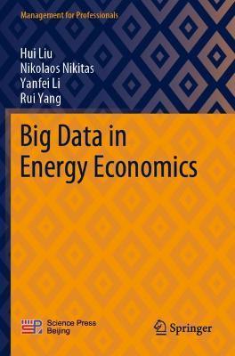 Big Data in Energy Economics - Hui Liu