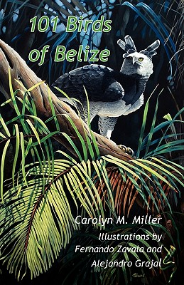 101 Birds of Belize - Carolyn M. Miller